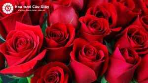 cắm hoa hồng để bàn đám cưới