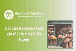 Các cửa hàng hoa tươi giá rẻ Uy tín Chất lượng