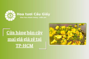 Cửa hàng bán cây mai giả giá rẻ tại TP-HCM