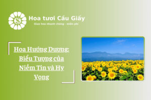 Hoa Hướng Dương: Biểu Tượng của Niềm Tin và Hy Vọng