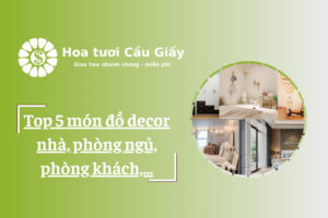 Top 5 món đồ decor nhà, phòng ngủ, phòng khách,...