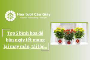 Top 5 bình hoa để bàn ngày tết mang lại may mắn, tài lộc,..