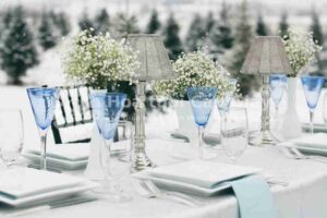 Hoa trang trí tiệc cưới - Hoa baby