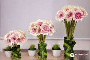 Trang trí phòng khách - Hoa đồng tiền