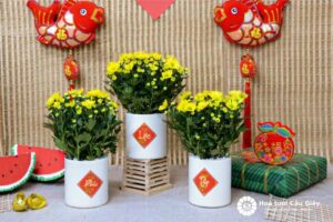 Bình hoa để bàn ngày tết - Hoa Cúc