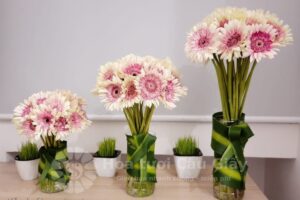 Bình hoa để bàn ngày tết - Hoa Đồng Tiền