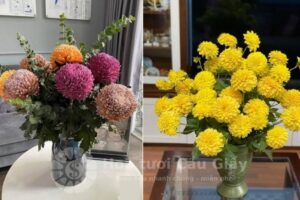 Bình hoa để bàn ngày tết - Hoa Cúc Vạn Thọ