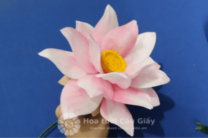 Hoàn thiện hoe sen bằng vải voan