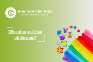 Kẽm nhung có bao nhiêu màu?