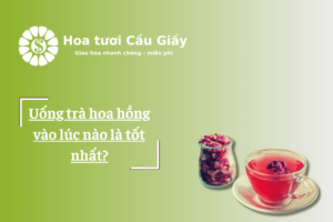 Uống trà hoa hồng vào lúc nào là tốt nhất?