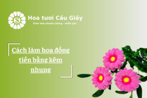 Cách làm hoa đồng tiền bằng kẽm nhung