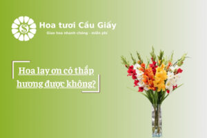 Hoa lay ơn có thắp hương được không?
