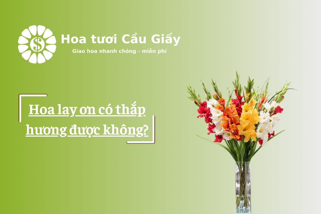 Hoa lay ơn có thắp hương được không?