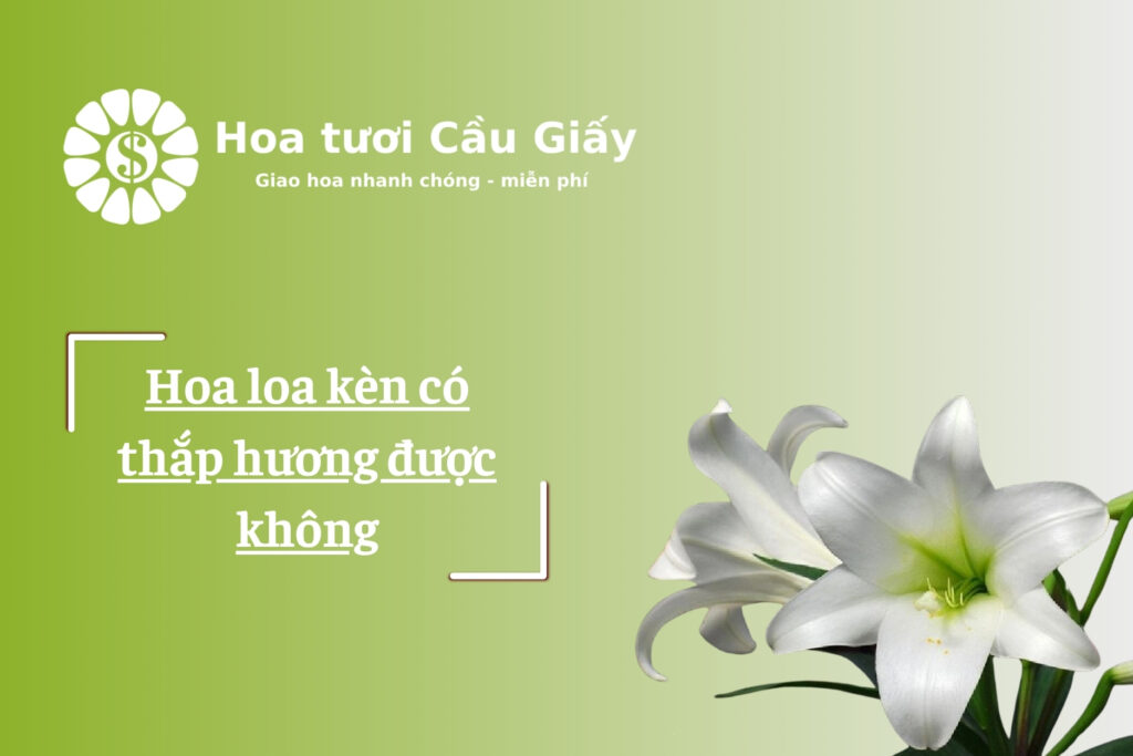 Hoa loa kèn có thắp hương được không