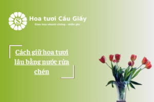 Cách giữ hoa tươi lâu bằng nước rửa chén