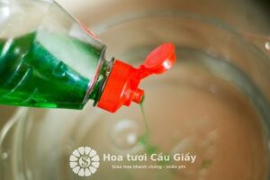 Thêm nước rửa chén