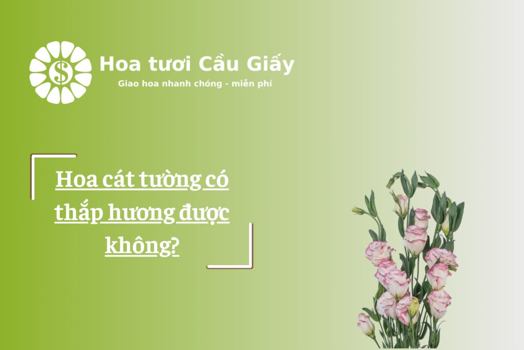 Hoa cát tường có thắp hương được không?