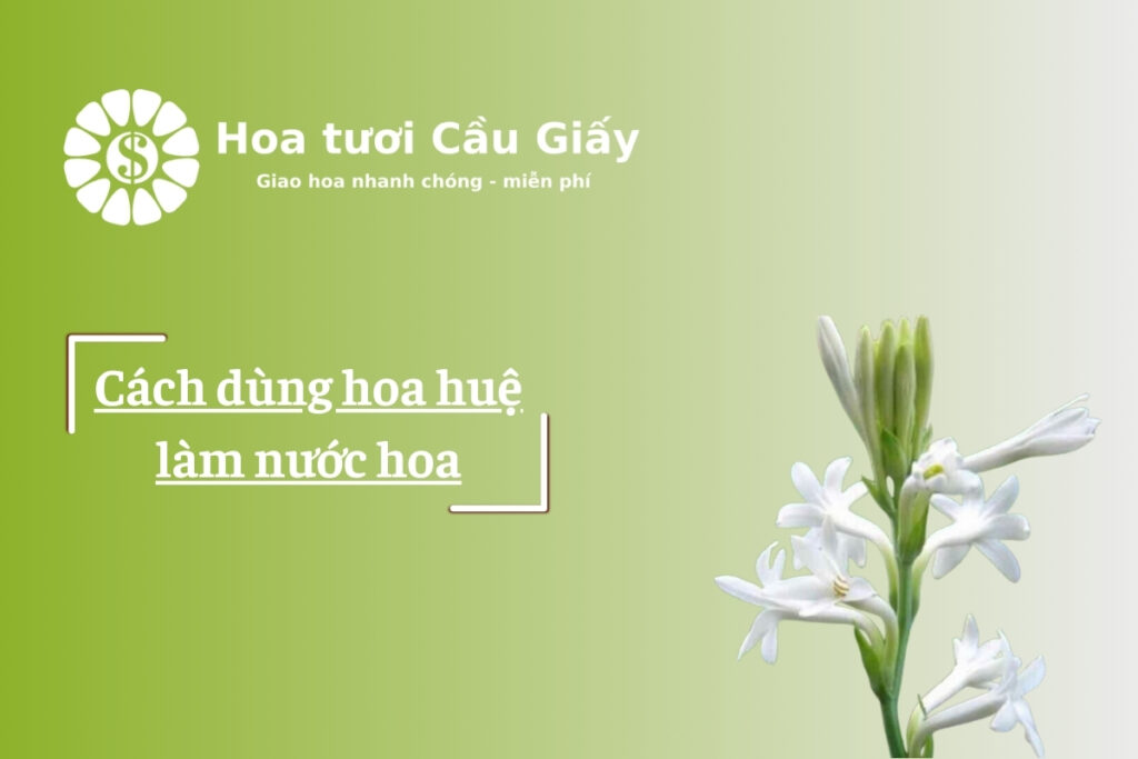 Cách dùng hoa huệ làm nước hoa
