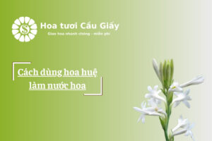 Cách dùng hoa huệ làm nước hoa