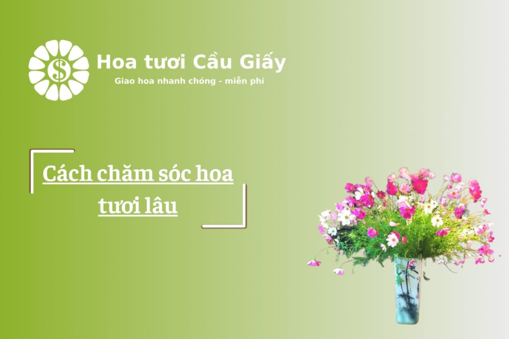 Cách chăm sóc hoa tươi lâu