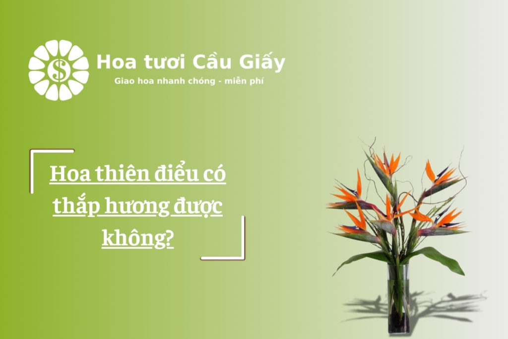 Hoa thiên điểu có thắp hương được không?